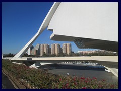 City of Arts and Sciences 115 - El Palau de les Arts Reina Sofía, the opera house.